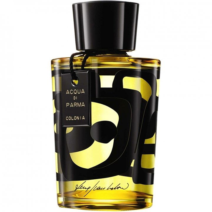 Colonia Designer Edition